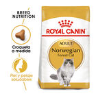 Royal Canin pienso Norwegian Forest Cat para gatos image number null